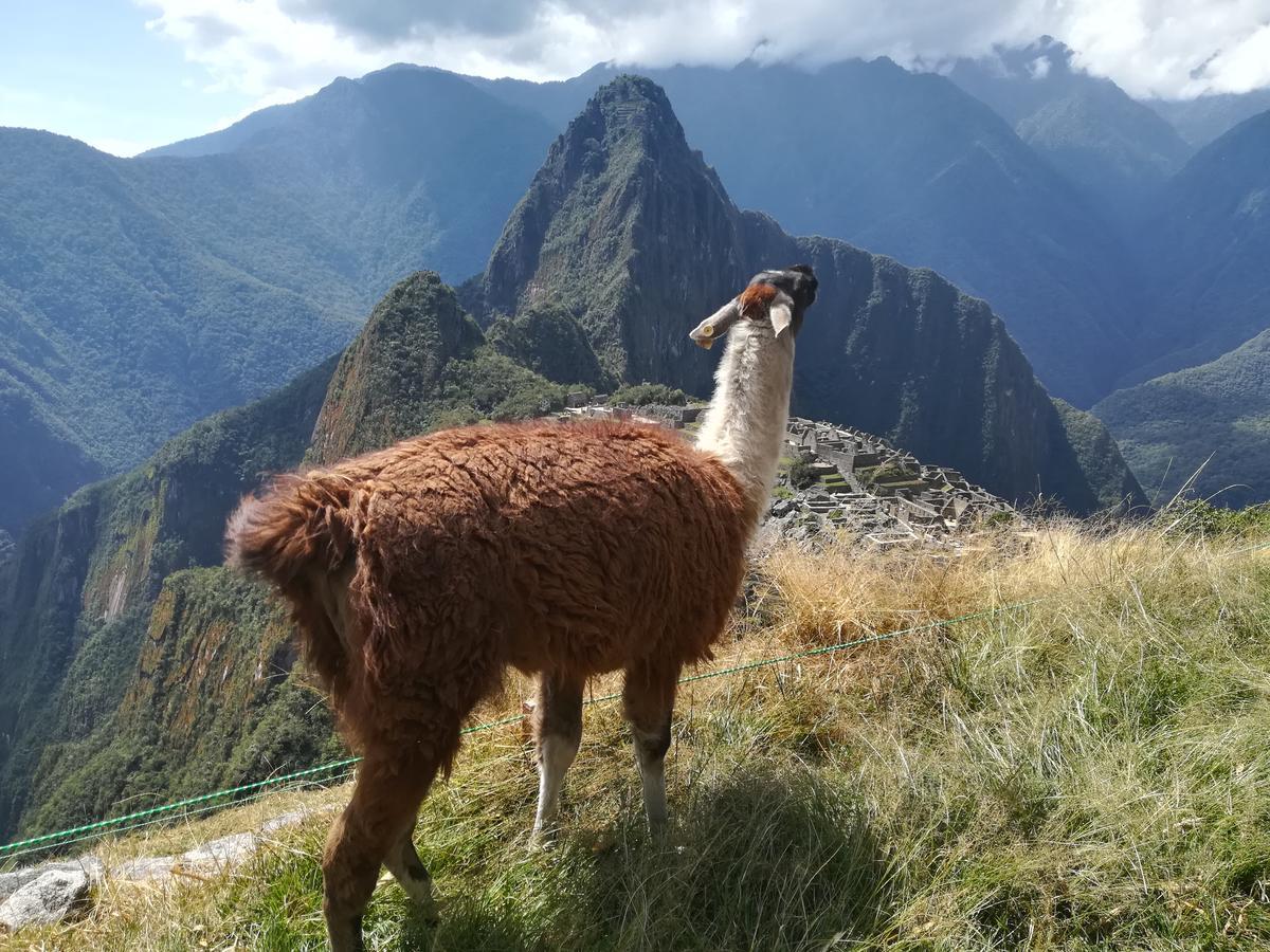 Готель Golden Sunrise Machupicchu Екстер'єр фото